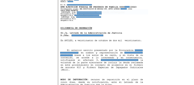 El RIJ se consolida como herramienta eficaz para combatir el impago de pensiones de alimentos