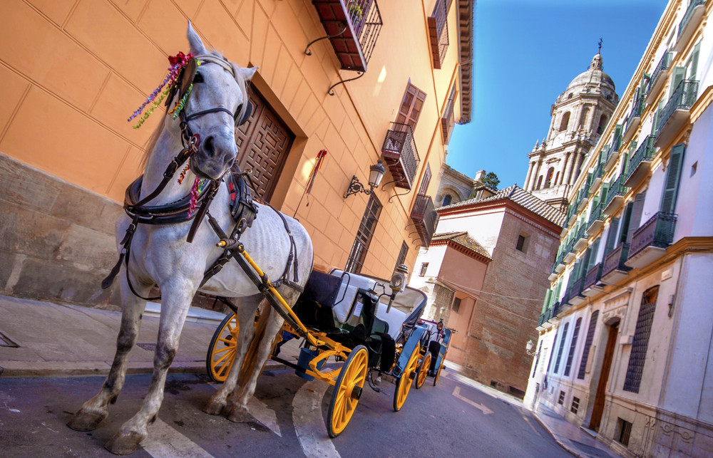 El fin de los coches de caballos: bienestar animal, empleos en riesgo y turistas divididos